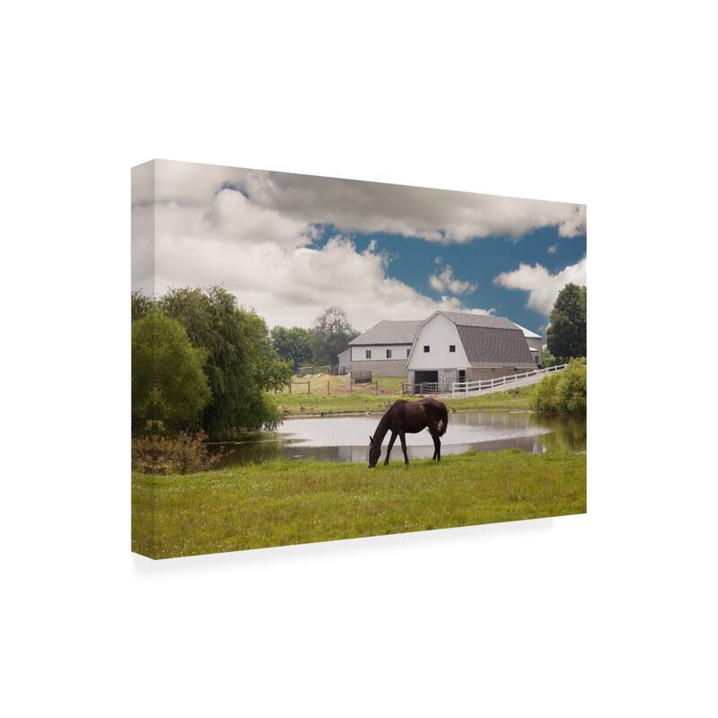 Monte Nagler Horse And Barn Shipshewana Indiana Color Canvas Art Bed Bath & Beyond 26171935