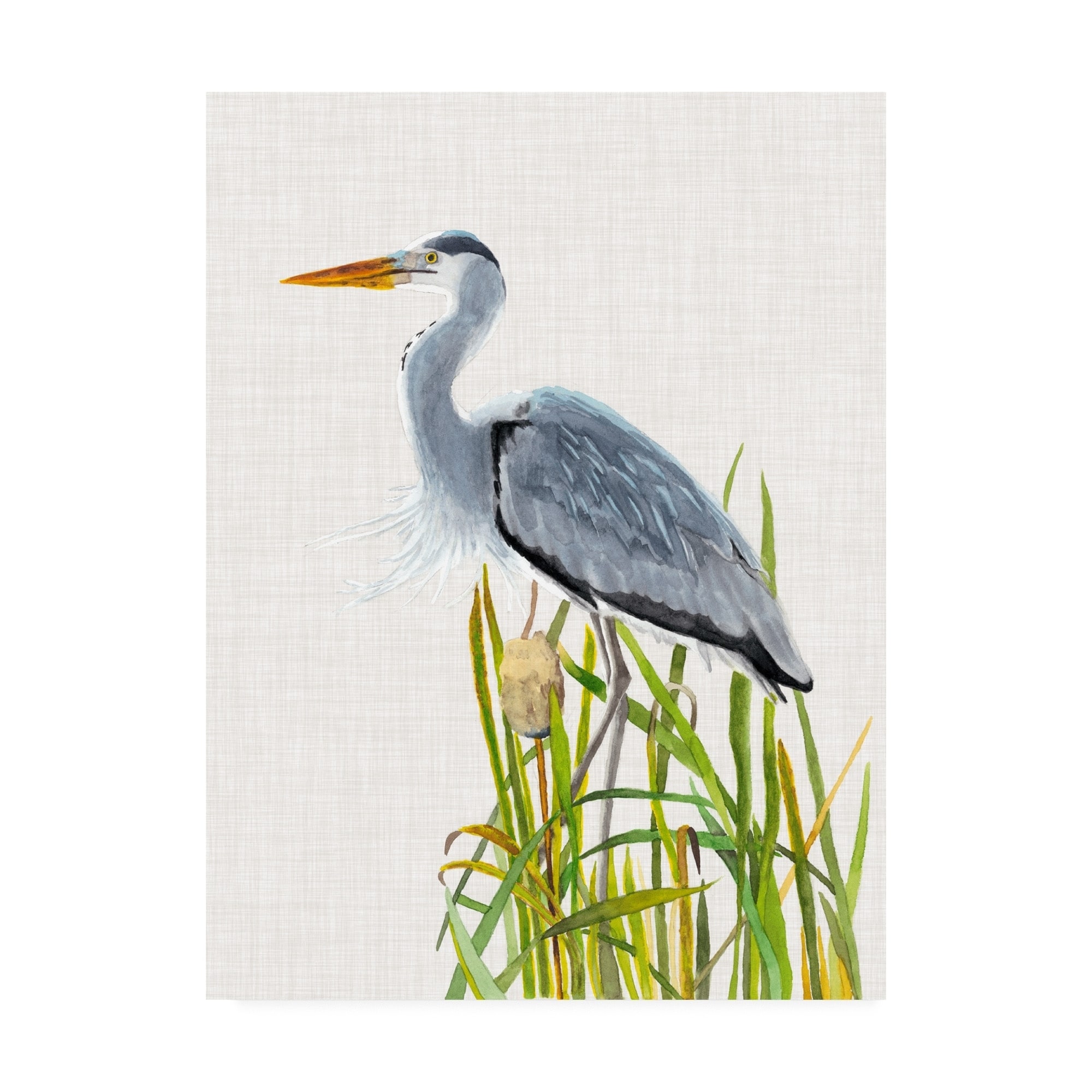 Naomi Mccavitt Water Birds And Cattails Ii Canvas Art