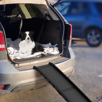 Bi-Fold Portable Dog Ramp, Lightweight with Safe Non Slip Traction Surface and Raised Sides for Cars, SUVs, Trucks by PETMAKER
