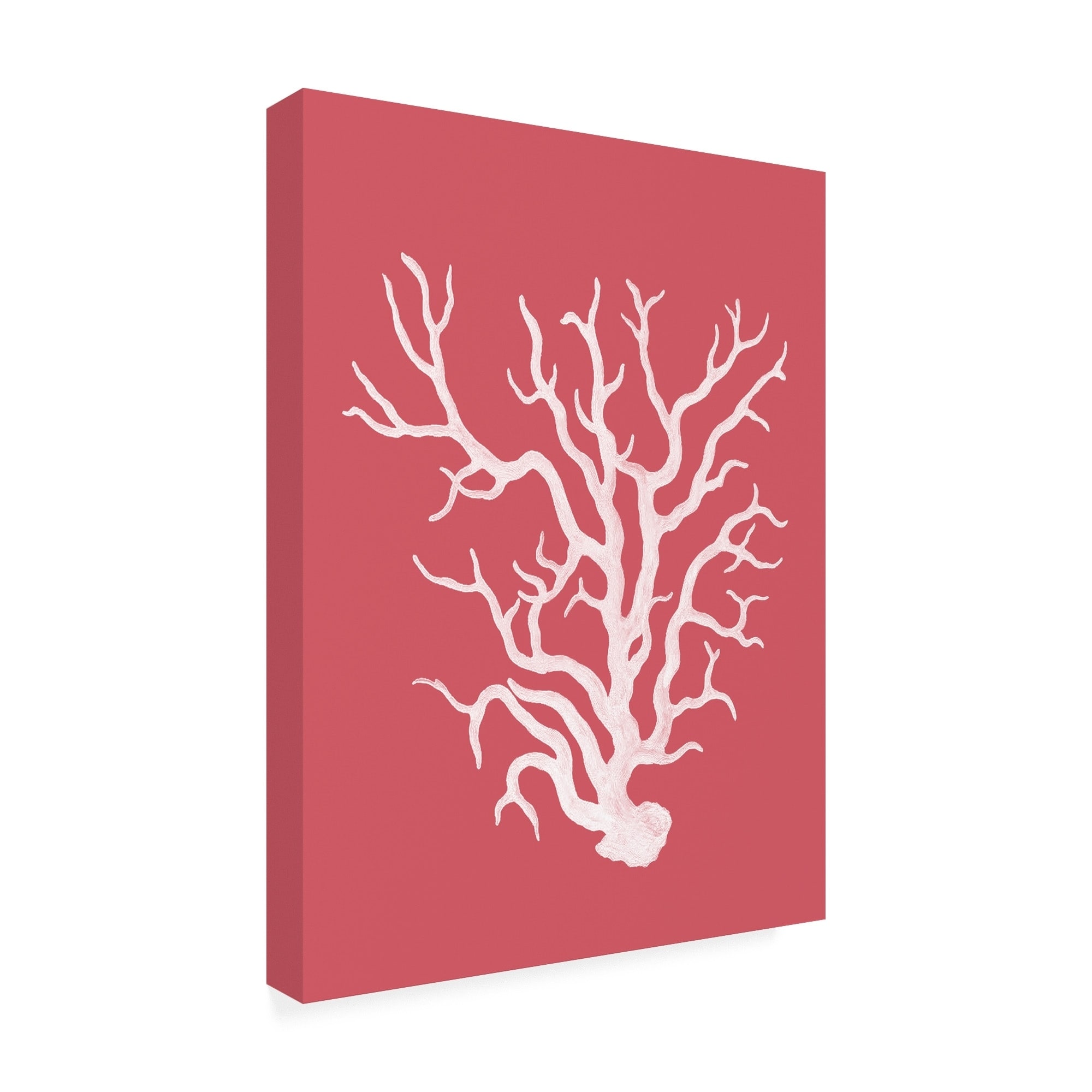 Fab Funky Corals White On Coral A Canvas Art - Bed Bath & Beyond