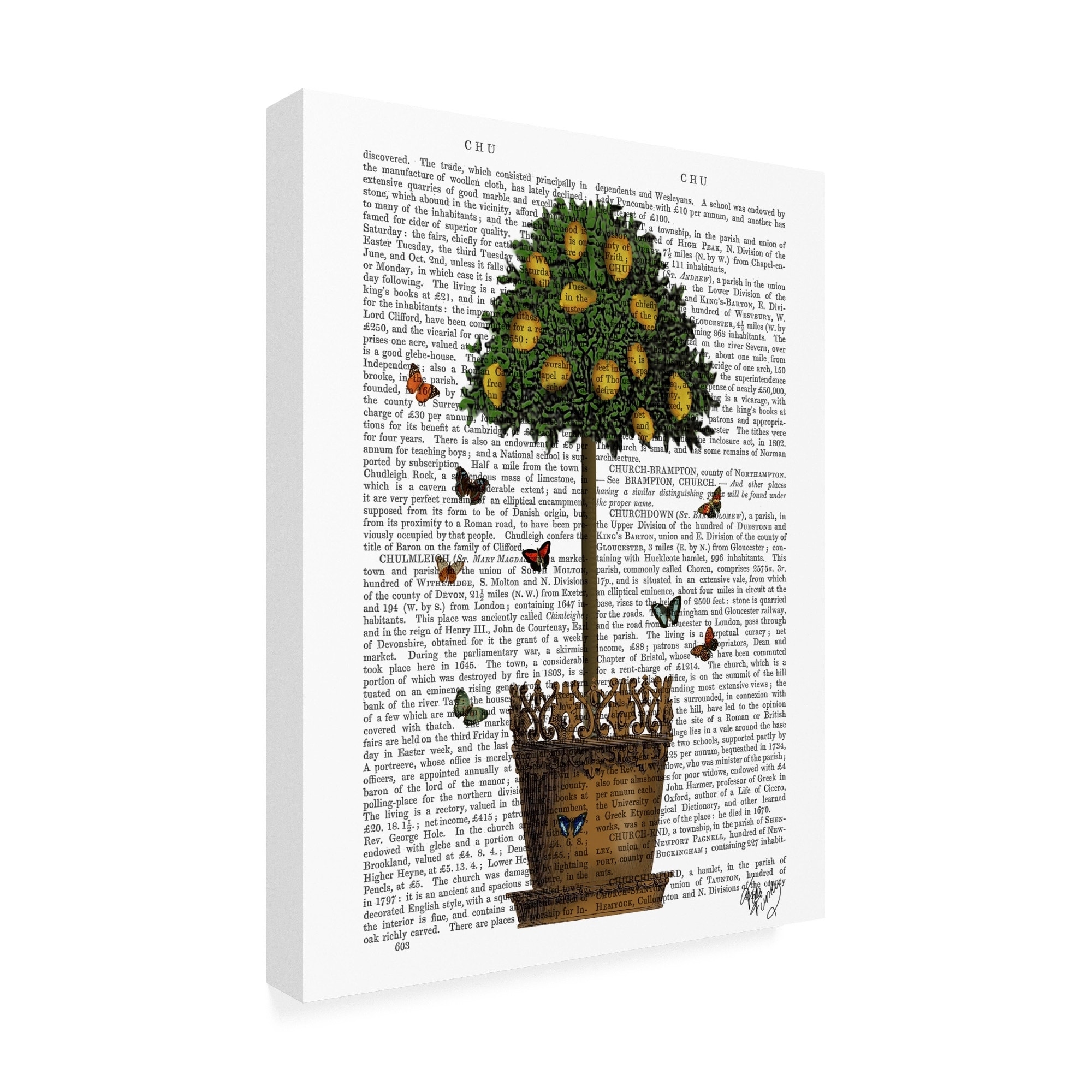 Fab Funky Potted Lemon Tree Canvas Art - Bed Bath & Beyond