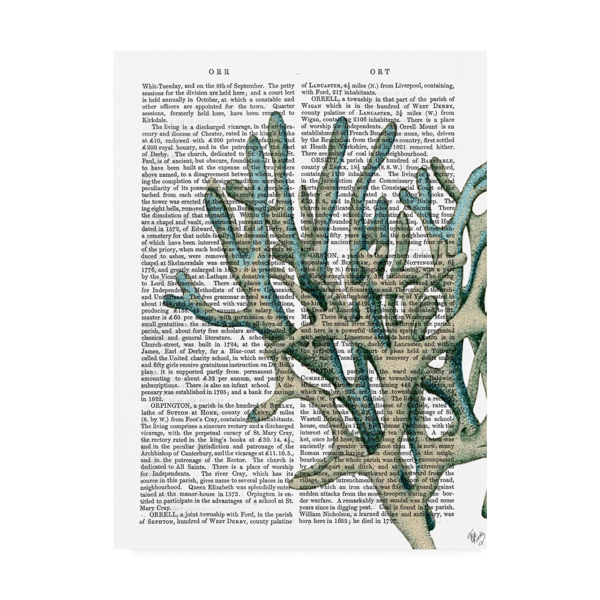 Fab Funky Blue Corals and Sea Urchins Iii Canvas Art - Bed Bath