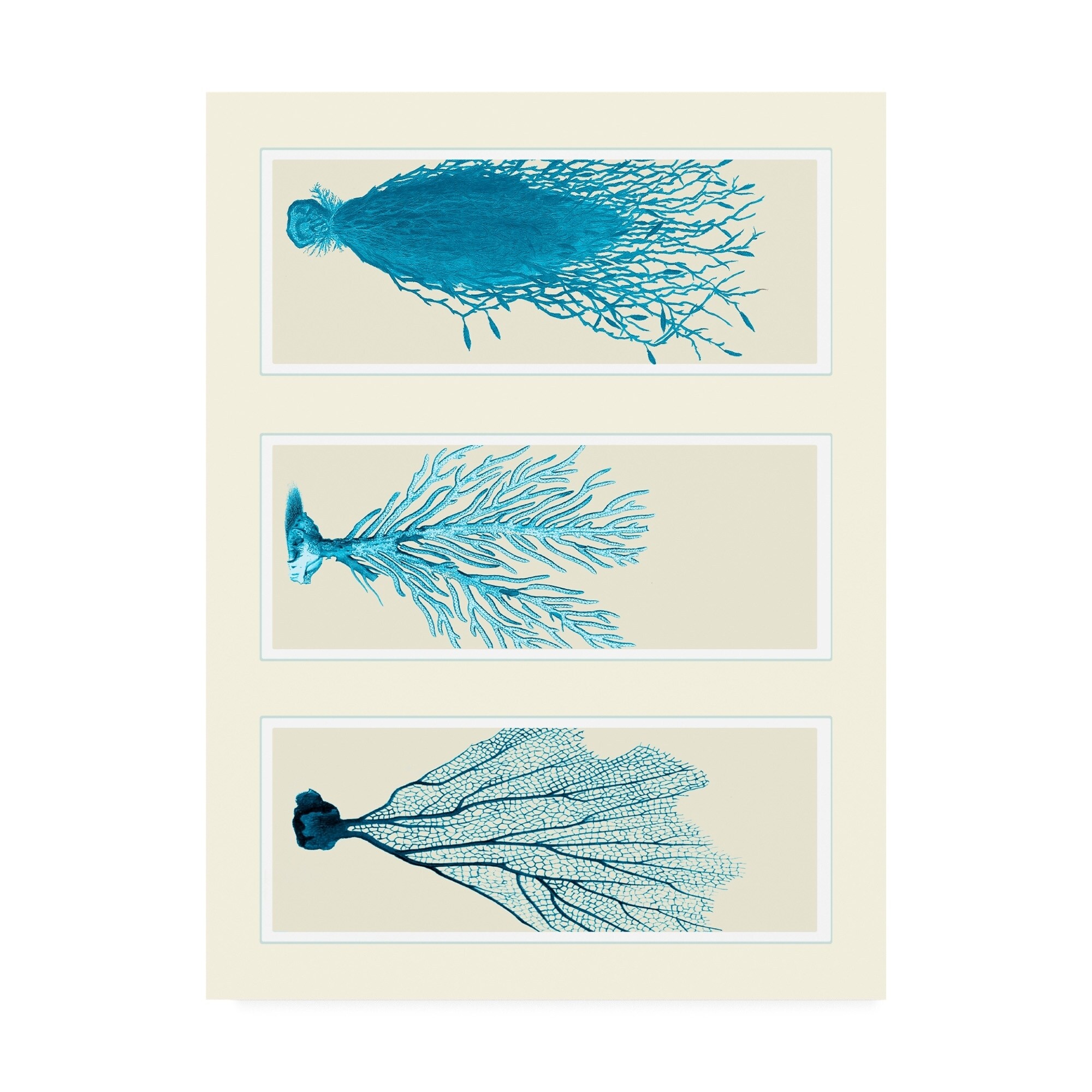 Fab Funky Blue Corals On 3 Panels Canvas Art - Bed Bath & Beyond