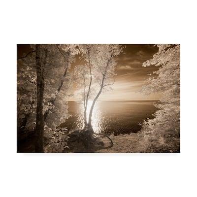 Monte Nagler Trees Framing Lake Canvas Art