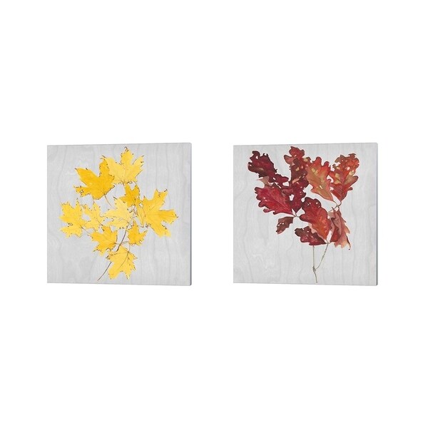 Dianne Miller 'Autumn Leaves B' Canvas Art (Set of 2)