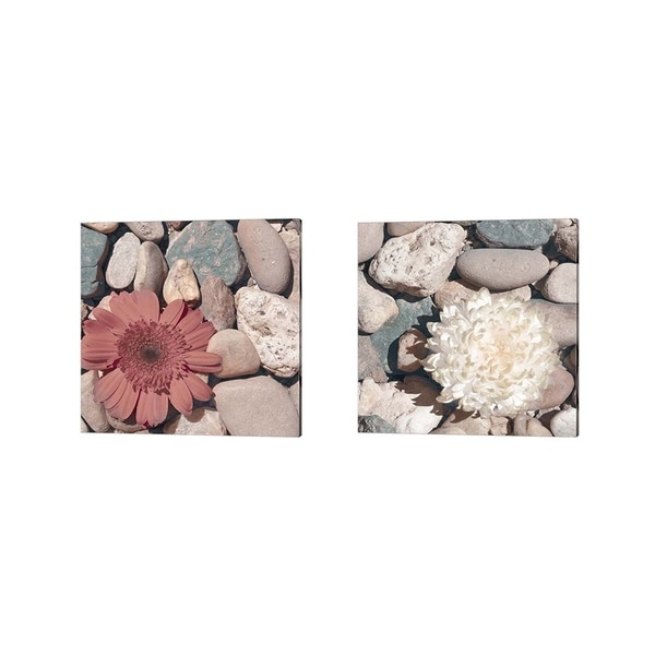 Jason Johnson 'Stone Crop' Canvas Art (Set of 2)