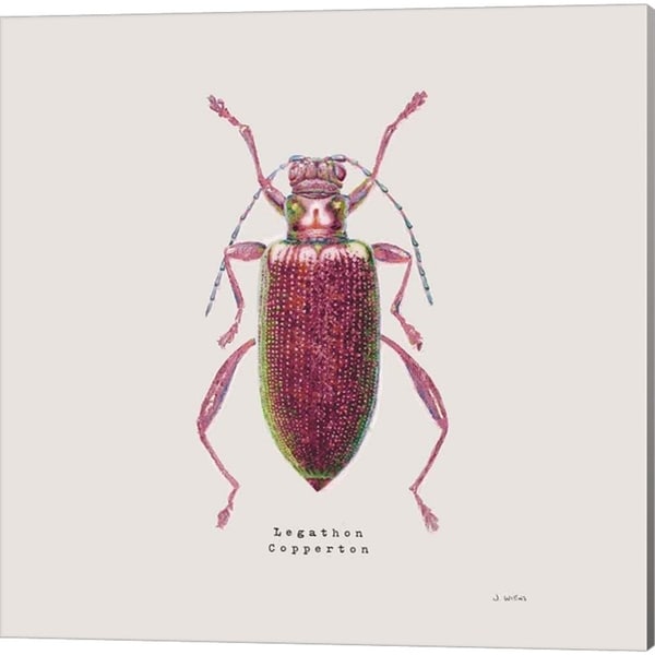 James Wiens 'Adorning Coleoptera Sq Claret' Canvas Art (Set of 2)