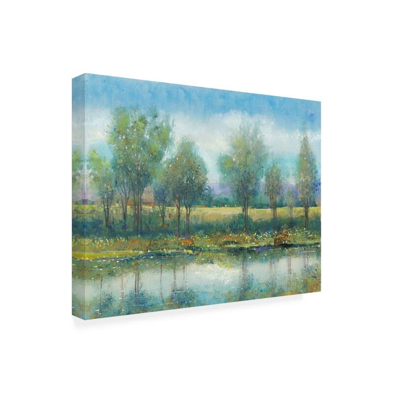 Tim Otoole 'River Reflection Ii Cloudy Blue Sky' Canvas Art