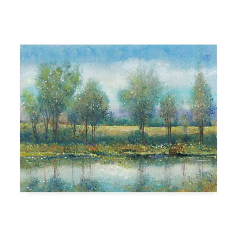 Tim Otoole 'River Reflection Ii Cloudy Blue Sky' Canvas Art