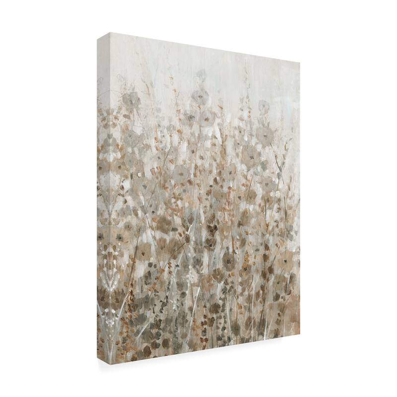 Tim O'Toole 'Early Fall Flowers Ii' Canvas Art