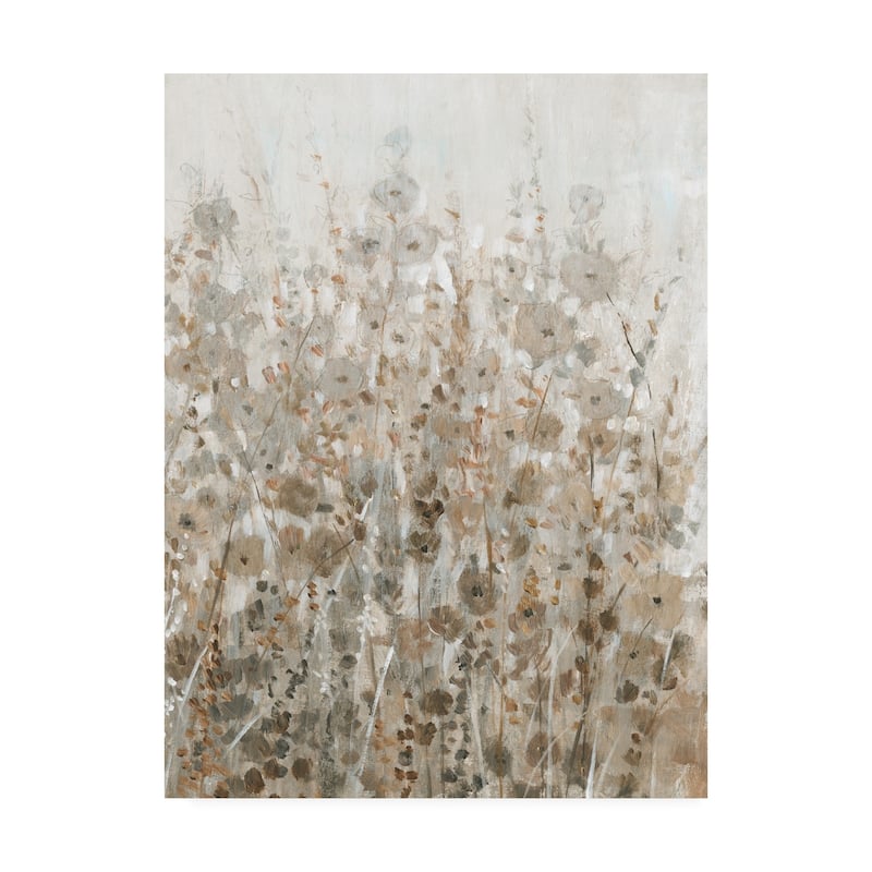 Tim O'Toole 'Early Fall Flowers Ii' Canvas Art