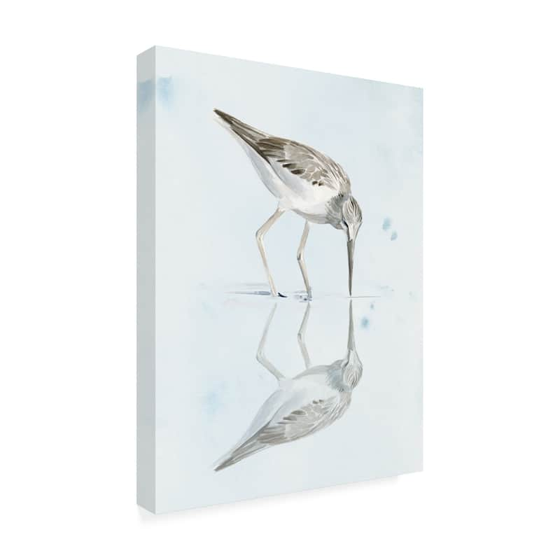 Jennifer Paxton Parker 'sandpiper Reflections I' Canvas Art - On Sale 