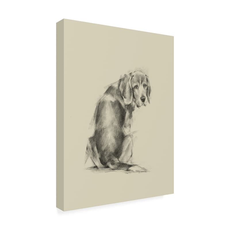 Ethan Harper 'Puppy Dog Eyes I' Canvas Art