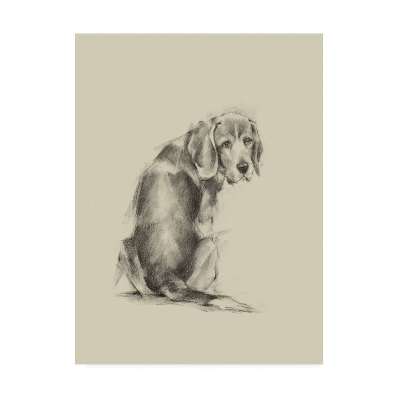 Ethan Harper 'Puppy Dog Eyes I' Canvas Art