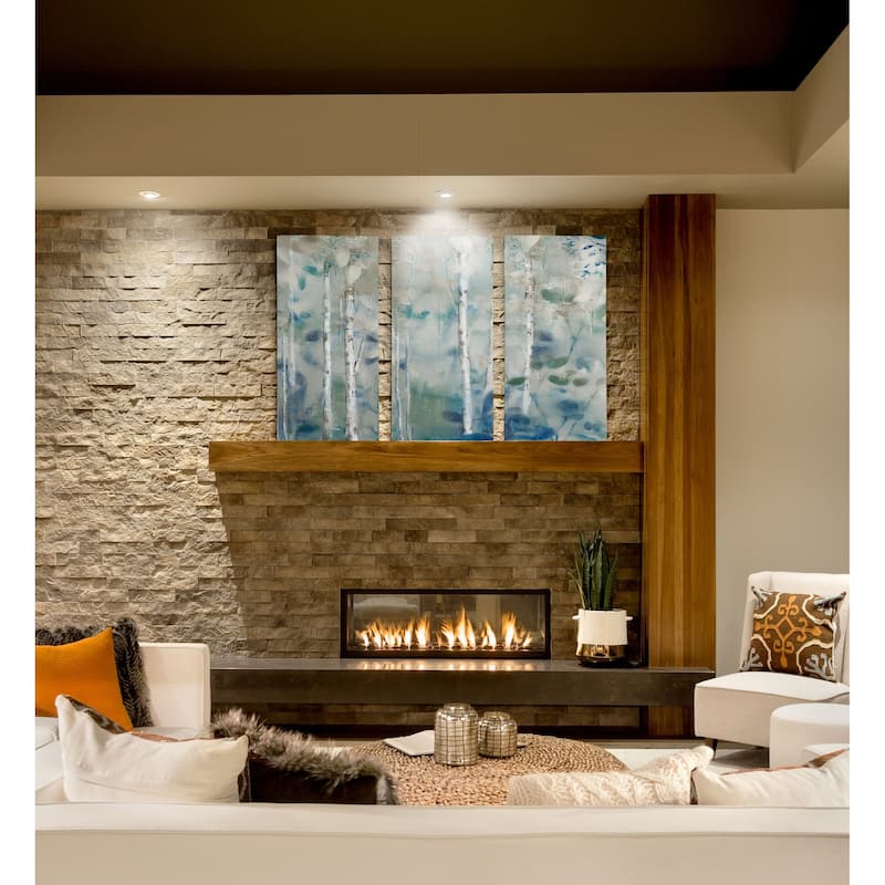 Zen Forest II-A Premium Multi Piece Art available in 3 sizes