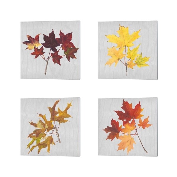 Dianne Miller 'Autumn Leaves A' Canvas Art (Set of 4)