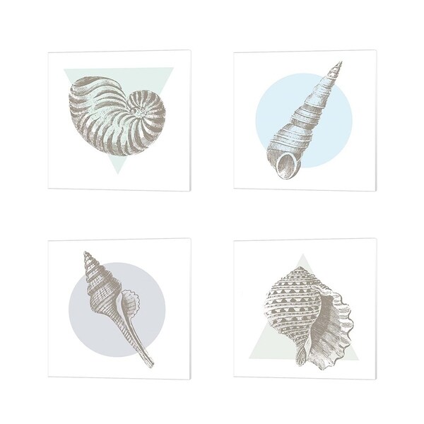 Wild Apple Portfolio 'Conchology Sketches' Canvas Art (Set of 4)