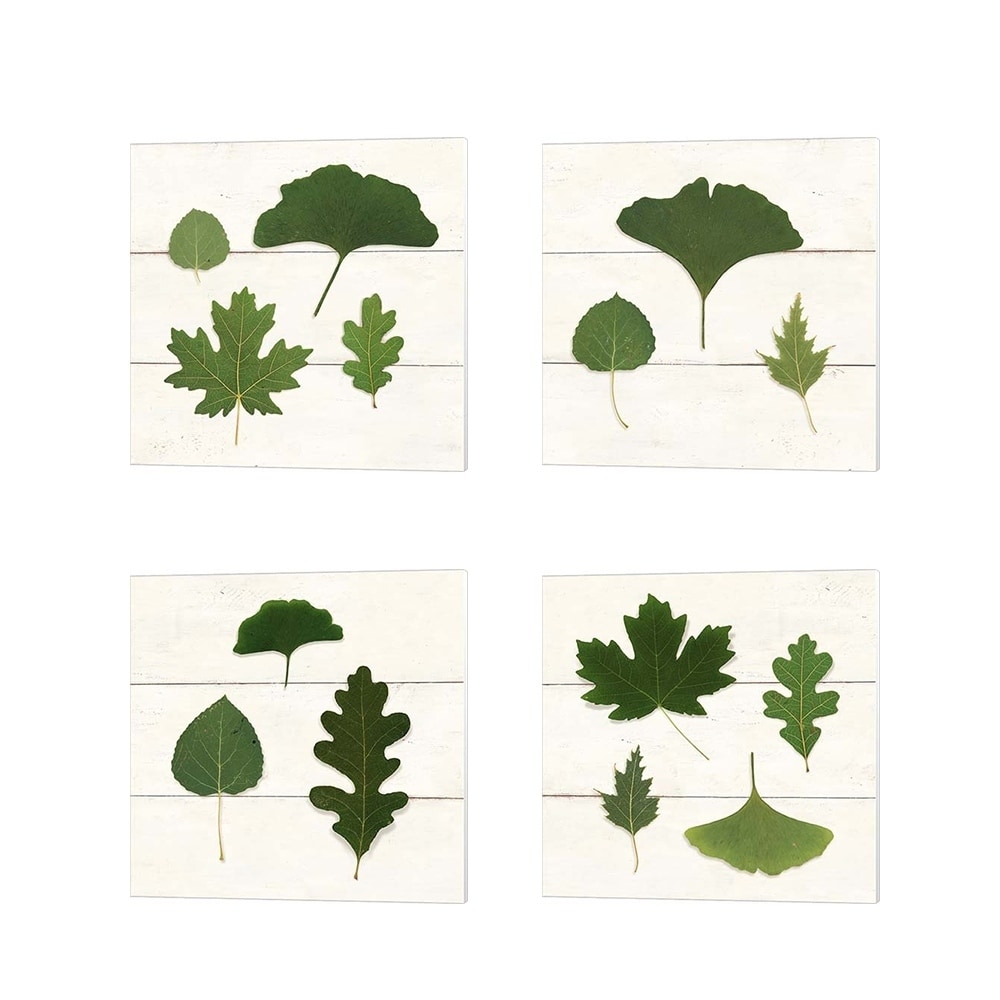 Wild Apple Portfolio 'Leaf Chart Shiplap' Canvas Art (Set of 4)