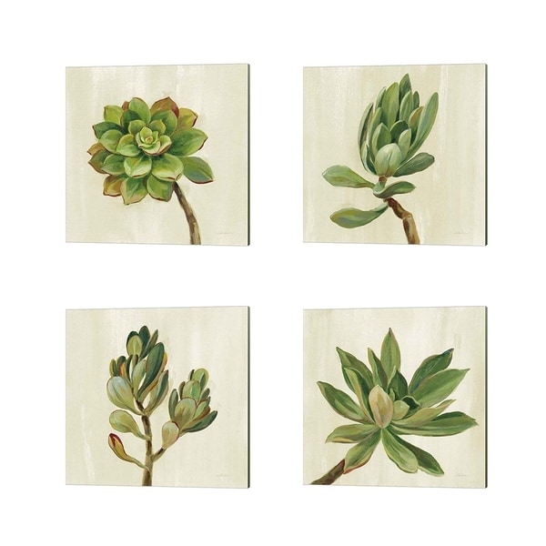 Silvia Vassileva 'Front Yard Succulent' Canvas Art (Set of 4)