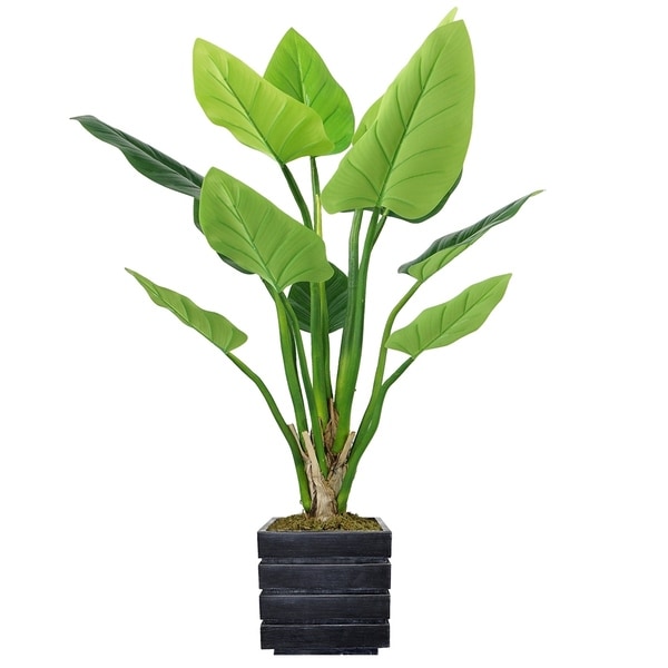 51" Philodendron Erubescens Green Emerald in Fiberstone Planter - Black/Grey