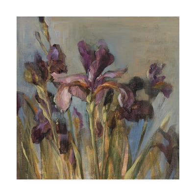 Danhui Nai 'Spring Iris I' Canvas Art