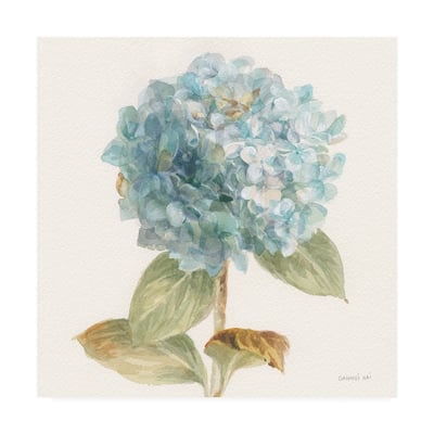 Danhui Nai 'Garden Hydrangea' Canvas Art