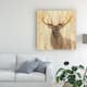 Albena Hristova 'Forest King' Canvas Art - Bed Bath & Beyond - 26274824