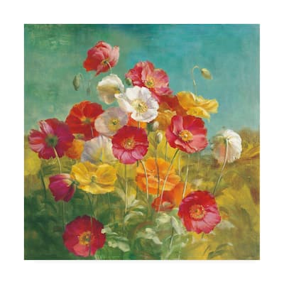 Danhui Nai 'Poppies In The Field' Canvas Art