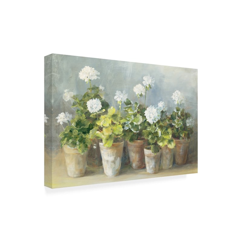 Danhui Nai 'White Potted Geraniums' Canvas Art