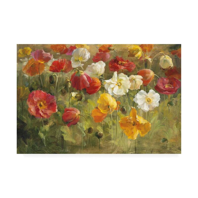 Danhui Nai 'Poppy Field Painting' Canvas Art