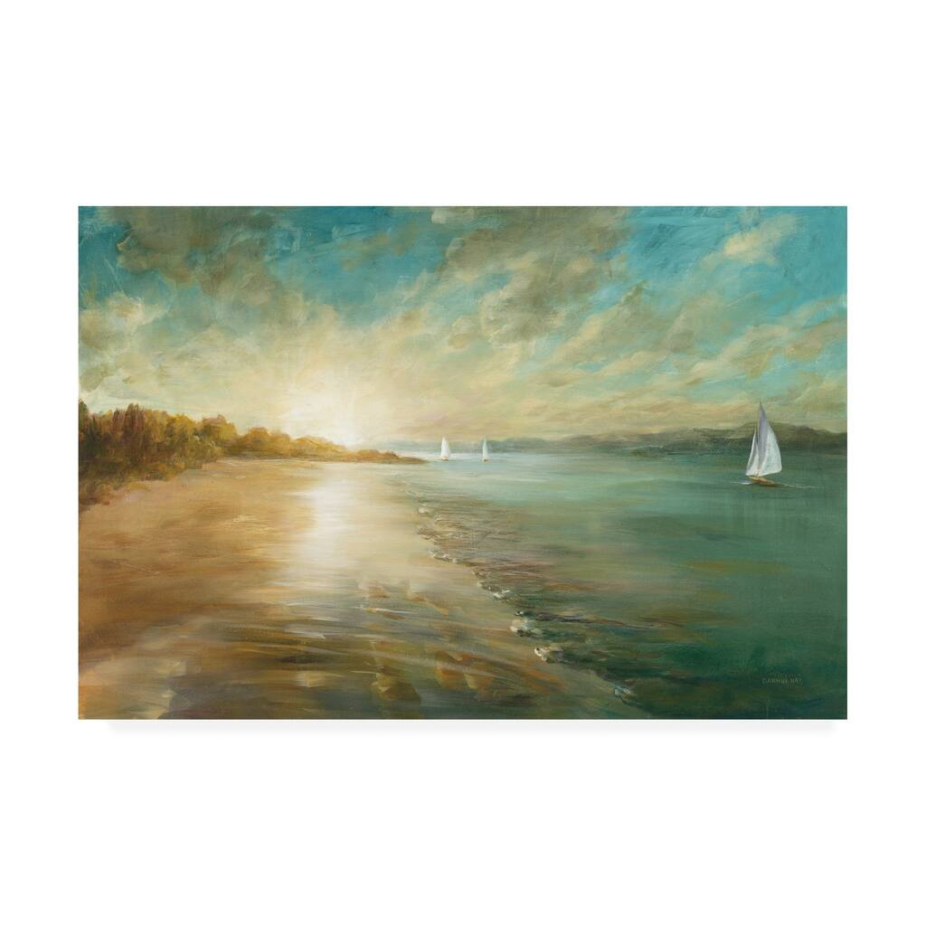Danhui Nai 'Coastal Glow' Canvas Art
