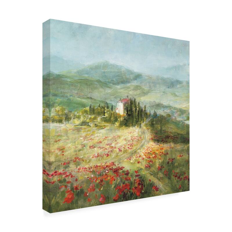 Danhui Nai 'Summer In Provence Crop' Canvas Art