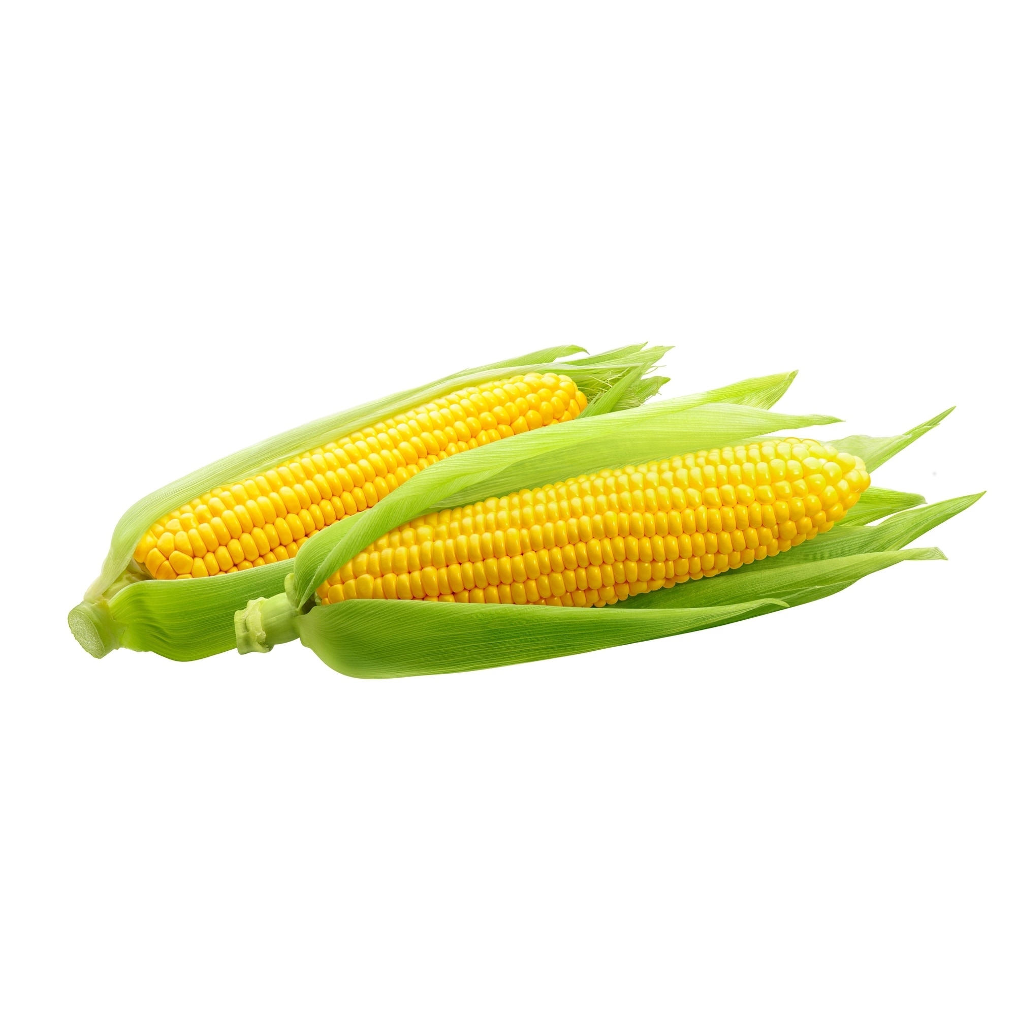 https://ak1.ostkcdn.com/images/products/26283896/RSI-Maze-Large-2.4-Gallon-Kitchen-Caddie-with-Corn-Bags-0b4af737-0a29-48eb-b199-11dac3968239.jpg