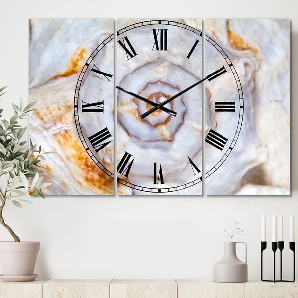 Designart 'Great Skeleton of Sea Shell' Cottage 3 Panels Large Wall CLock - 36 in. wide x 28 in. high - 3 panels. Opens flyout.