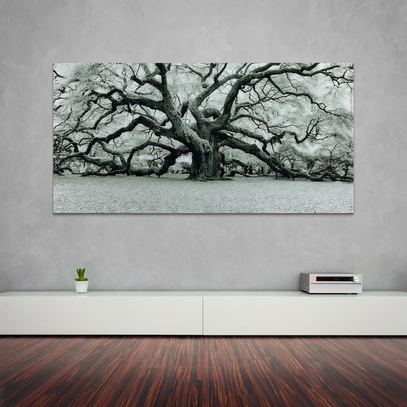 "The Angel Oak" Frameless Free Floating Tempered Art Glass Wall Art by EAD Art Coop