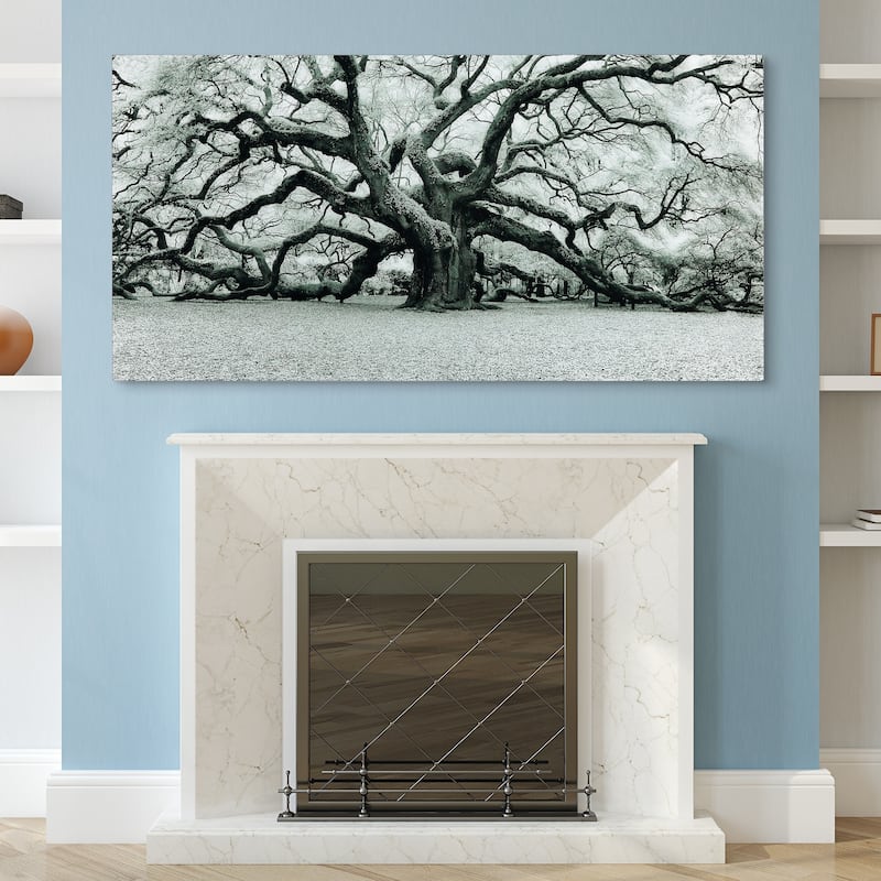 "The Angel Oak" Frameless Free Floating Tempered Art Glass Wall Art by EAD Art Coop