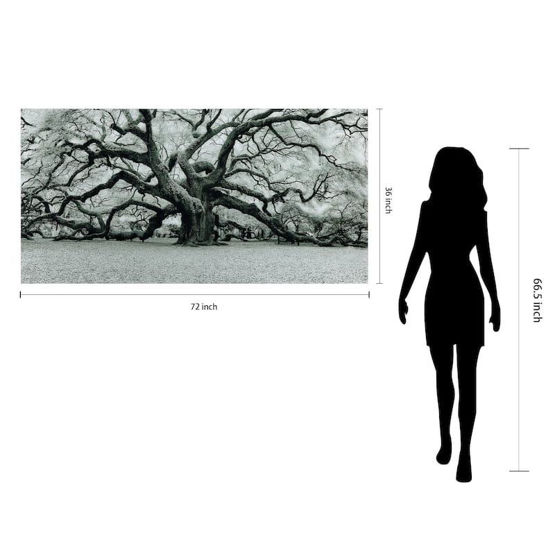 "The Angel Oak" Frameless Free Floating Tempered Art Glass Wall Art by EAD Art Coop