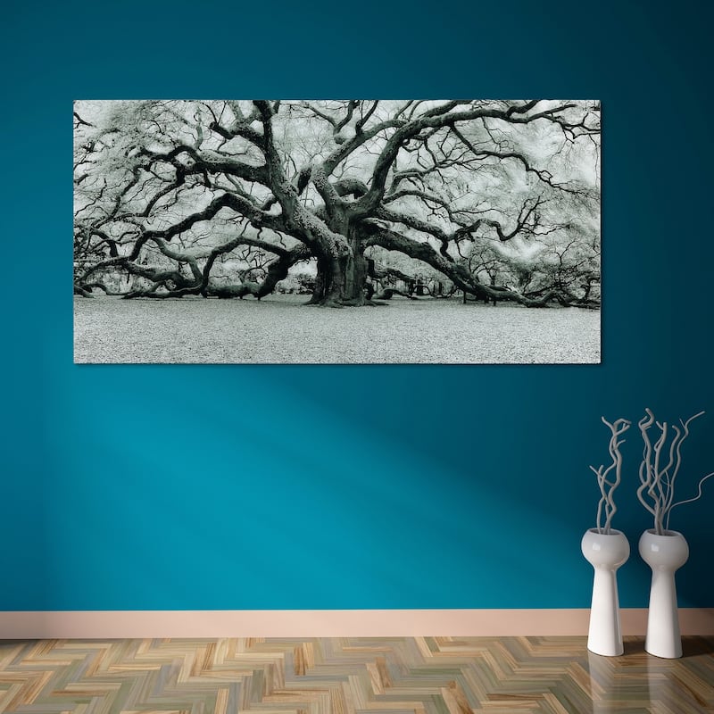 "The Angel Oak" Frameless Free Floating Tempered Art Glass Wall Art by EAD Art Coop