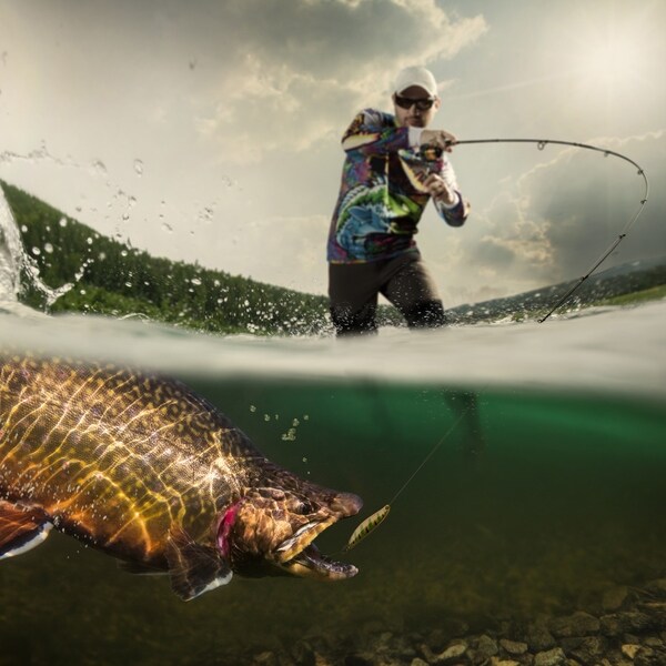fly fishing rod and reel