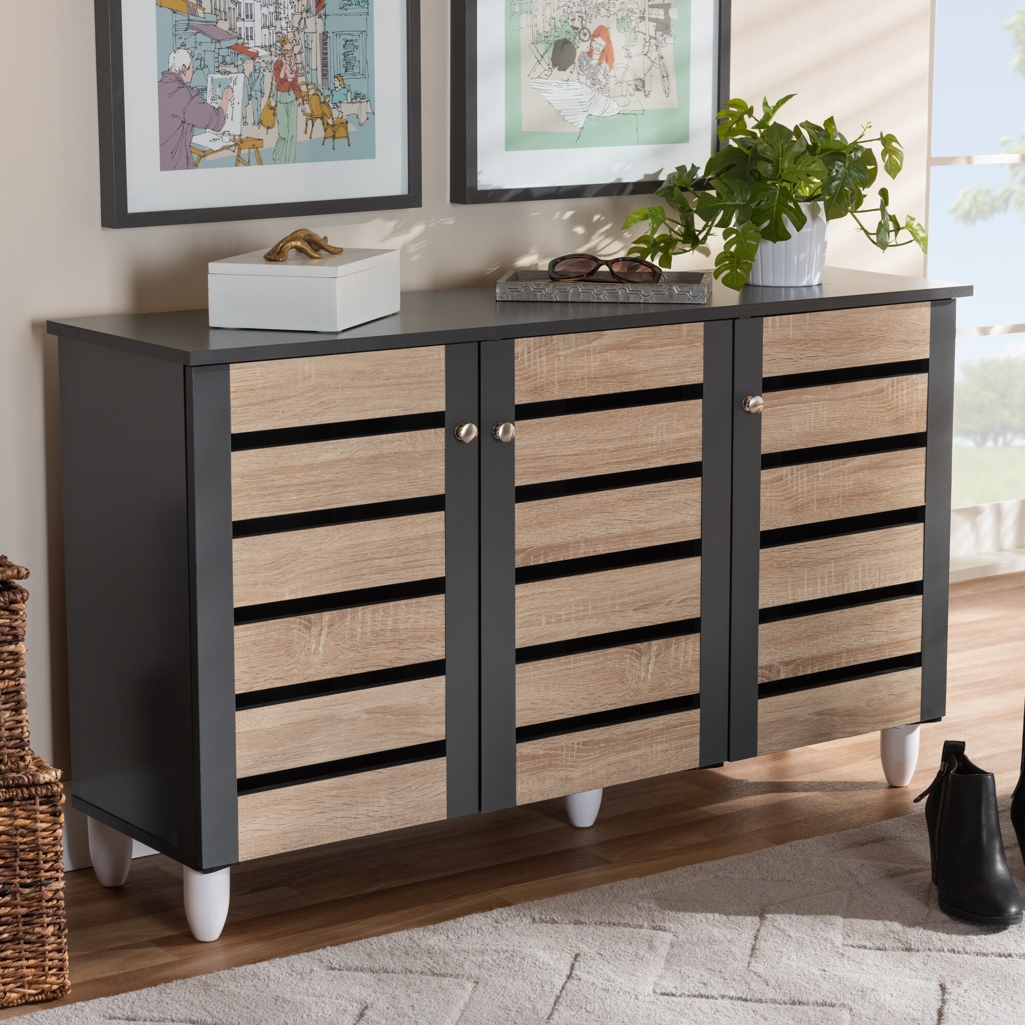 Shop Contemporary Shoe Storage Cabinet On Sale Overstock