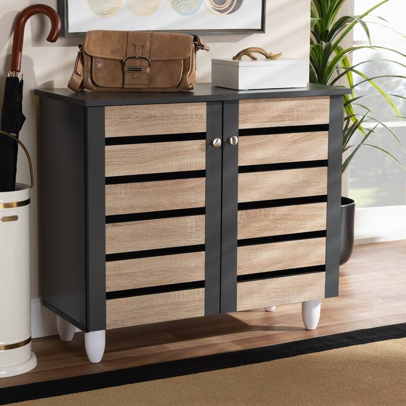 Contemporary Shoe Storage Cabinet