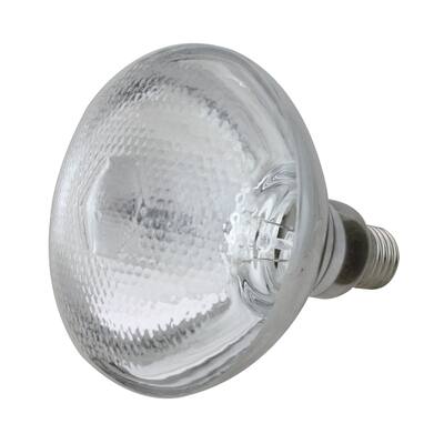 Incandescent Weatherproof 100 Watt Clear Floodlight Bulb