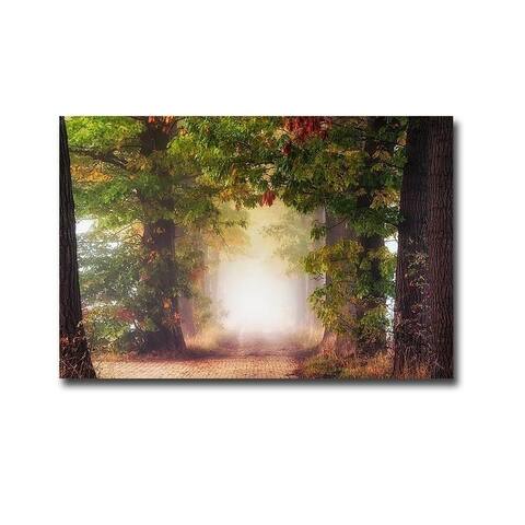 Fall Colors by Lars Van de Goor Gallery Wrapped Canvas Giclee Art (24 in x 36 in, Ready to Hang)