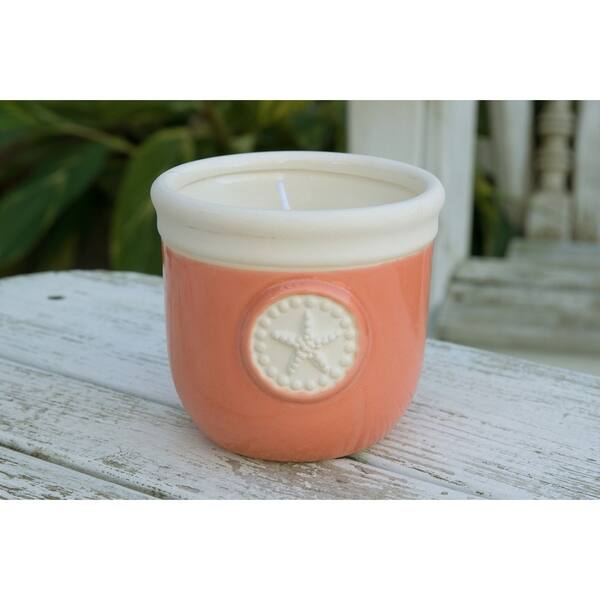 Shop Citronella Candle In Decorative Ceramic Holder W Sea Fan And