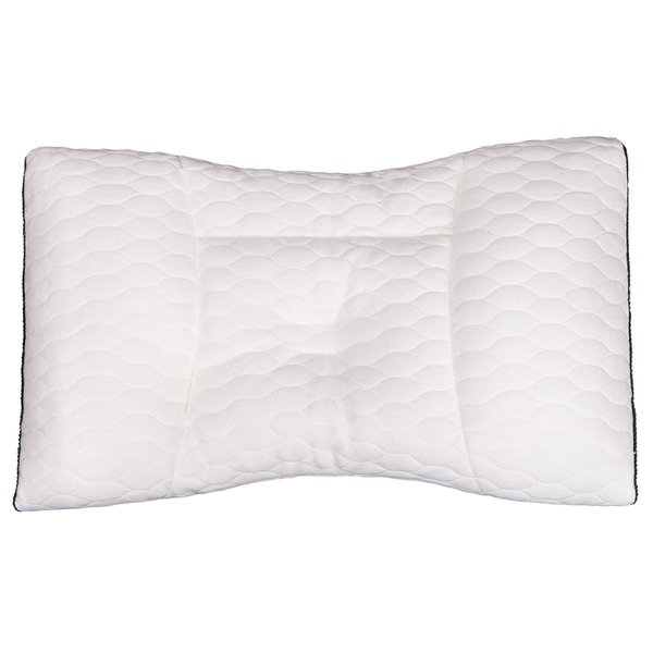 Bed bath and sales beyond buckwheat pillow