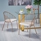 preview thumbnail 14 of 19, Doane Velvet Cushion Stainless Steel Dining Chairs (Set or 2) by Christopher Knight Home