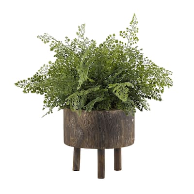 D&W Silks Maiden Hair Fern in Round Wooden Planter with Legs - Green