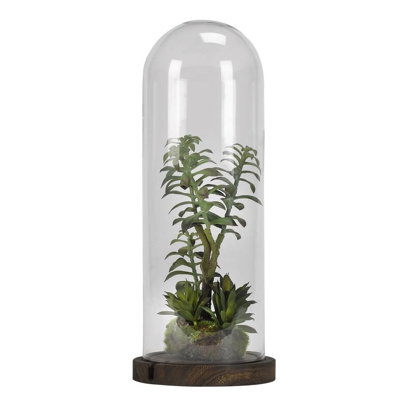 D&W Silks Tree Succulents in Glass Dome with Wood Base - Green