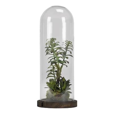 D&W Silks Tree Succulents in Glass Dome with Wood Base - Green