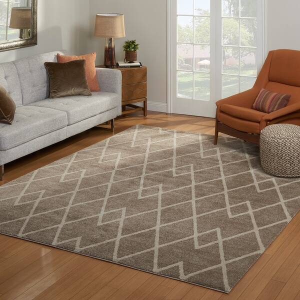 Drexel Heritage Lascala Kagan Chelan Taupe Area Rug 8